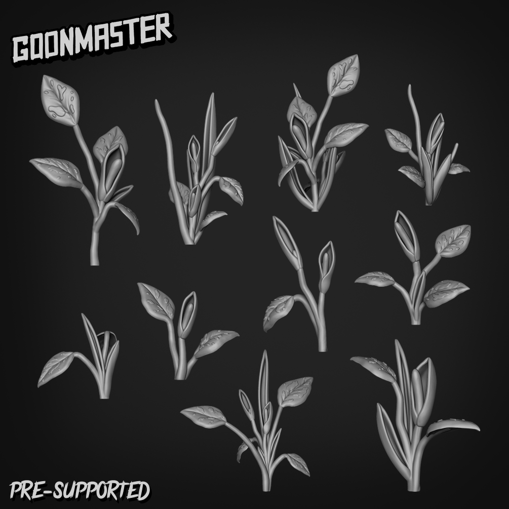 Basing Bits 215 - Philodendron Erubescens